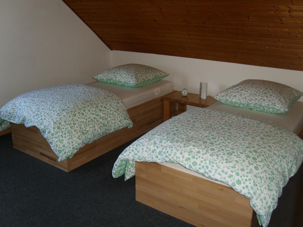 Ferienwohnung لايشلينغن المظهر الخارجي الصورة
